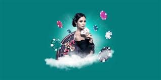 betvip com