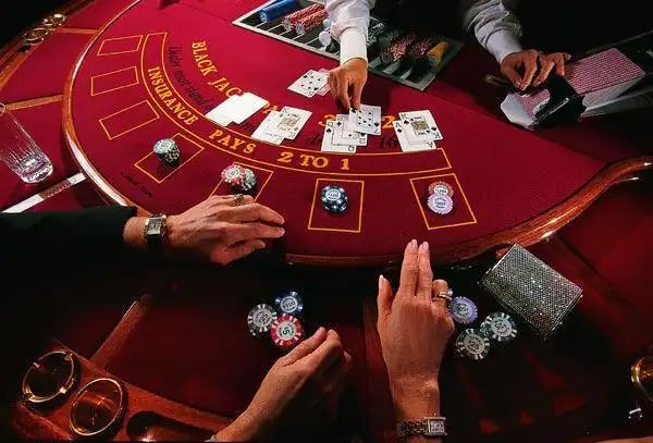 betvip com
